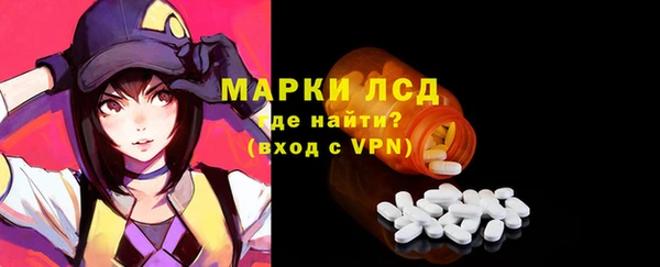 хмурый Белокуриха