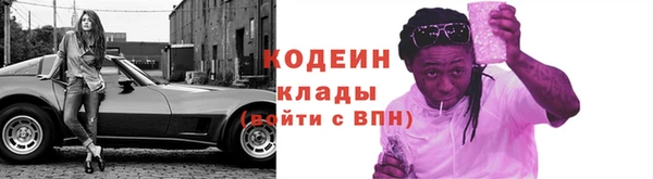 гашик Снежногорск