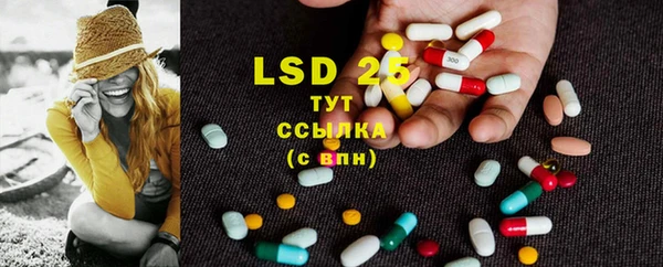 хмурый Белокуриха