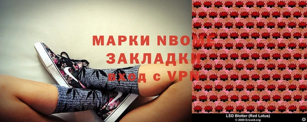 хмурый Белокуриха