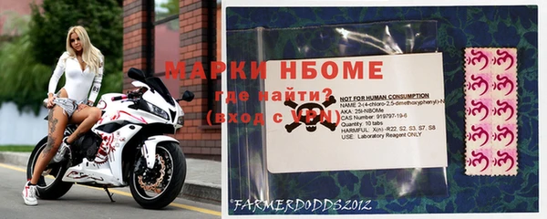 хмурый Белокуриха
