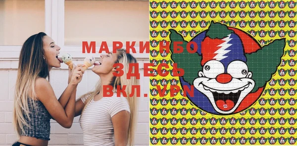 хмурый Белокуриха