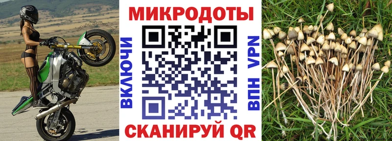 Галлюциногенные грибы GOLDEN TEACHER  Обь 